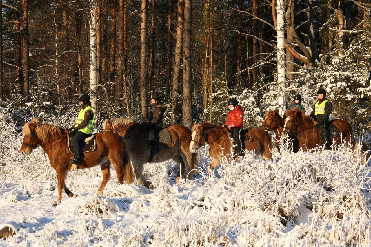 Pettu Eerikki 호텔 Kankaanpää 외부 사진